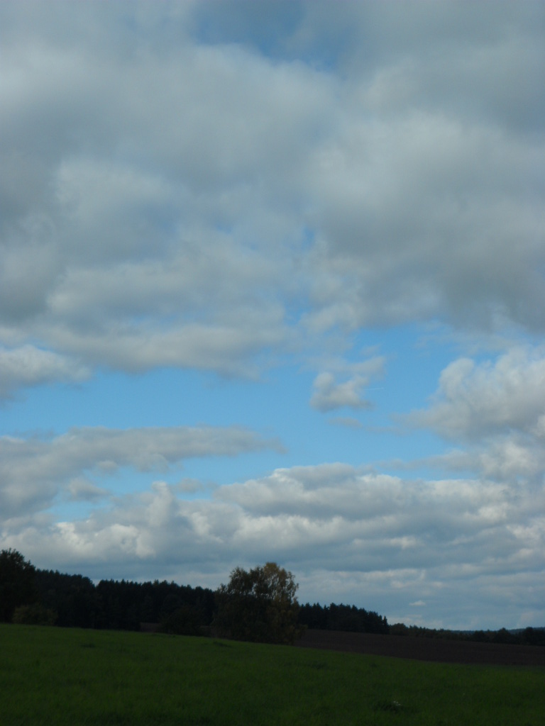 SAM_1486