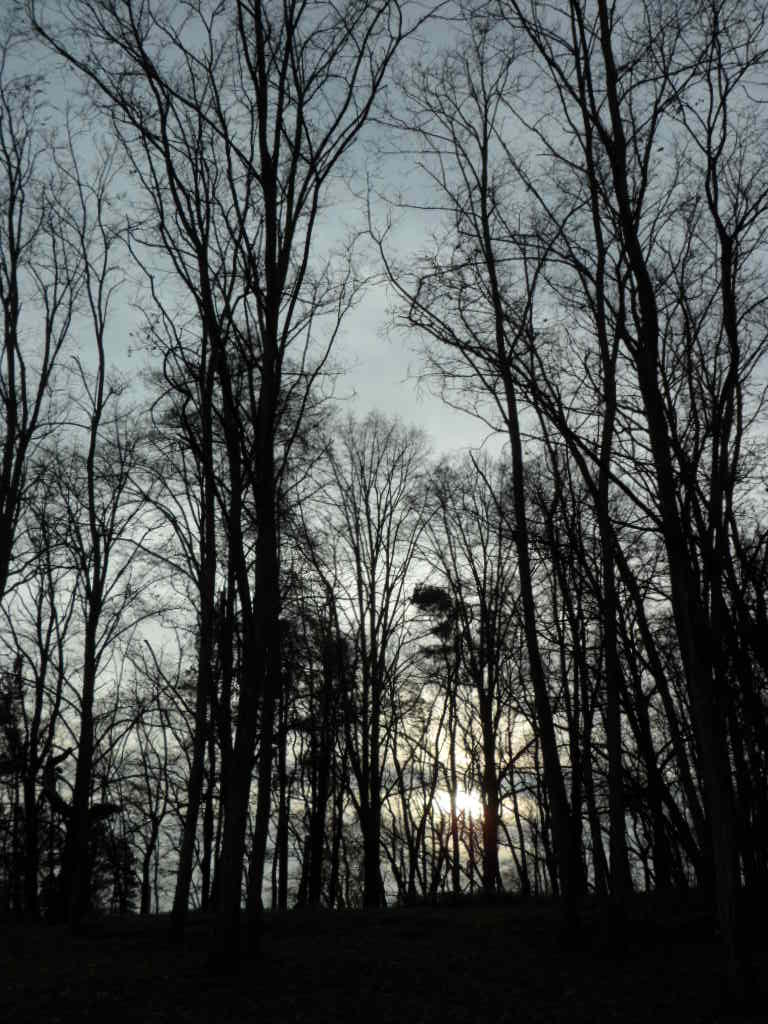 SAM_3307