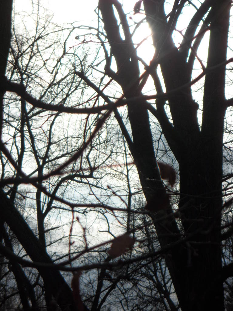SAM_1674